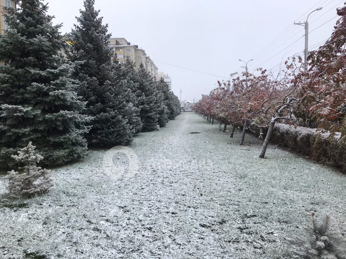 С начала зимы 13 человек погибли в ДТП на Ставрополье С начала зимы 13 человек погибли в ДТП на Ставрополье