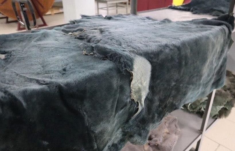 В Невинномысске начнут шить меховые изделия