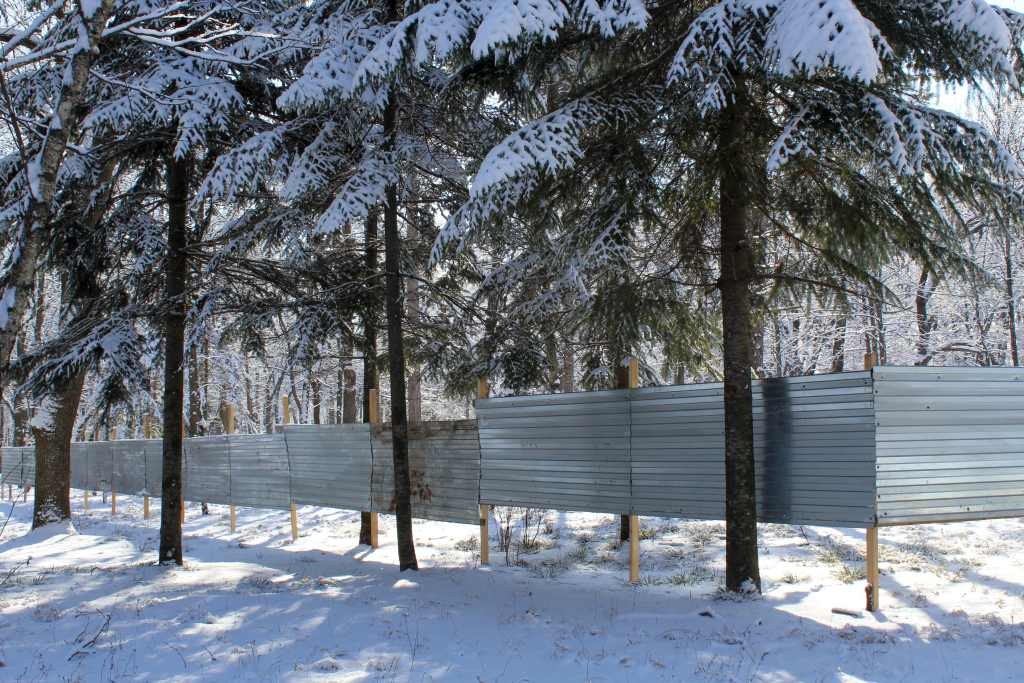 65-метровое колесо обозрения установят в парке Победы в Ессентуках