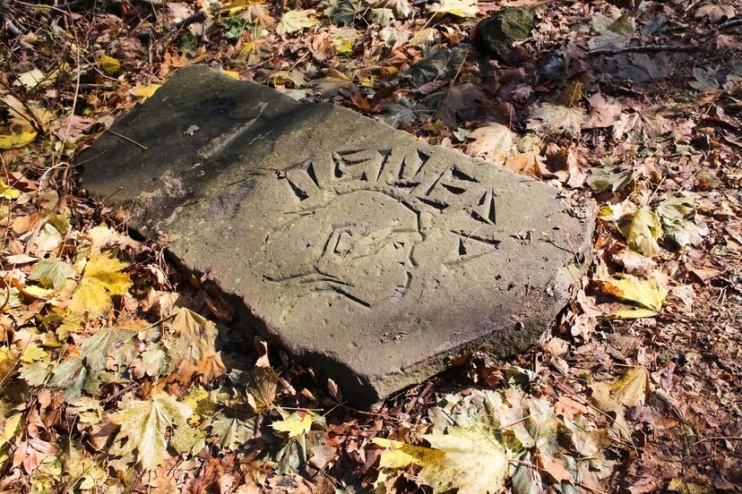 Фразу Путина разместят на экологическом велотерренкуре в Железноводске Фразу Путина разместят на экологическом велотерренкуре в Железноводске