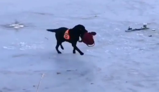 В Ставрополе спасатели предотвратили трагедию с ребенком на льду В Ставрополе спасатели предотвратили трагедию с ребенком на льду
