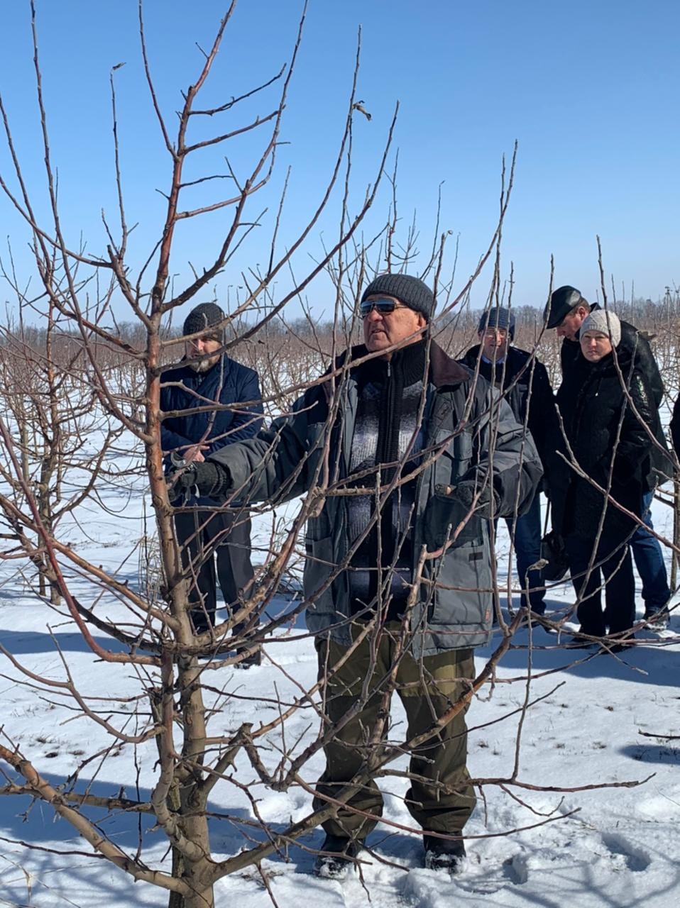На господдержку садоводов Ставрополья направят около 575 млн рублей На господдержку садоводов Ставрополья направят около 575 млн рублей
