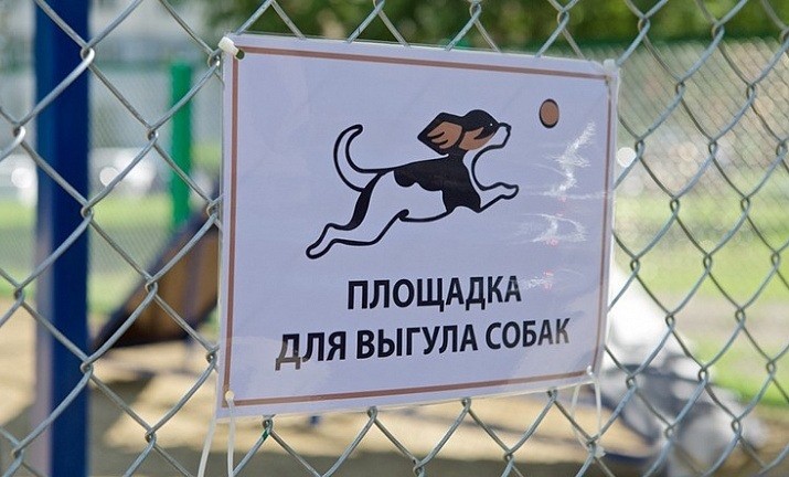 Жители Железноводска выберут места для выгула собак