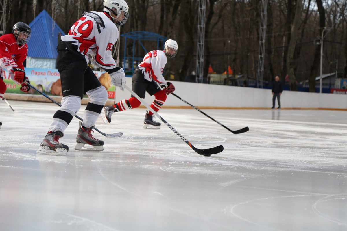 В Ставрополе появится школа зимних видов спорта на 800 человек В Ставрополе появится школа зимних видов спорта на 800 человек