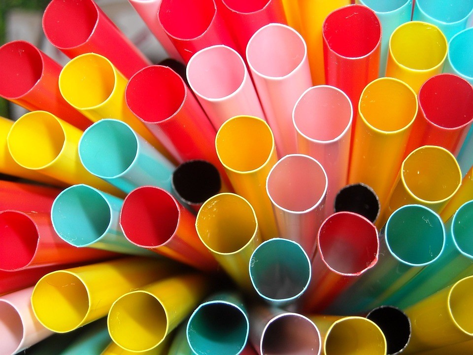 Виктория Абрамченко предложила запретить в РФ пластиковую посуду и трубочки