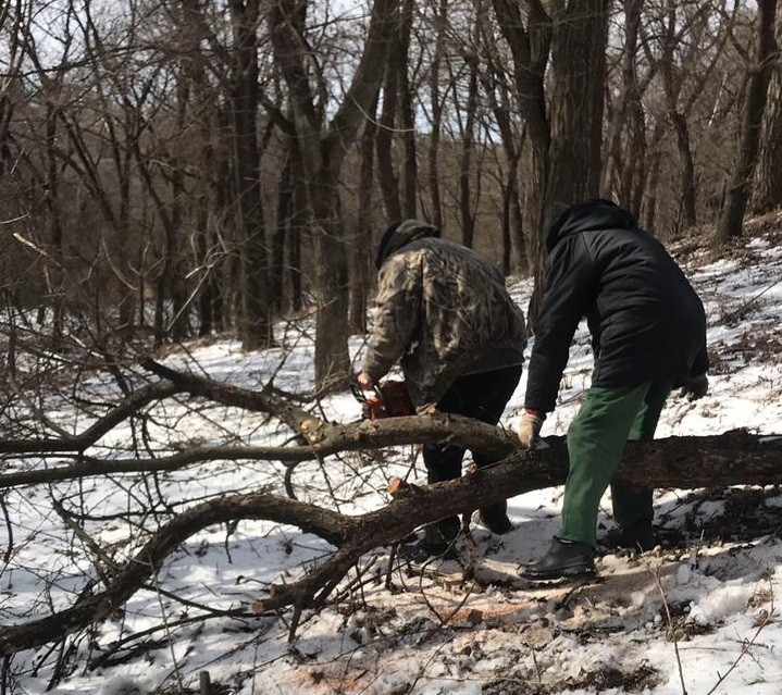 В Ессентуках «Экодесант» каждую неделю выходит на очистку озера В Ессентуках «Экодесант» каждую неделю выходит на очистку озера