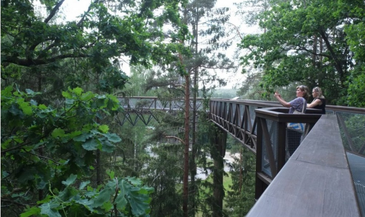 Воздушная эко-тропа появится в Кисловодске