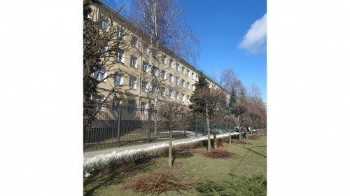 Масштабная стрижка деревьев началась в Ставрополе