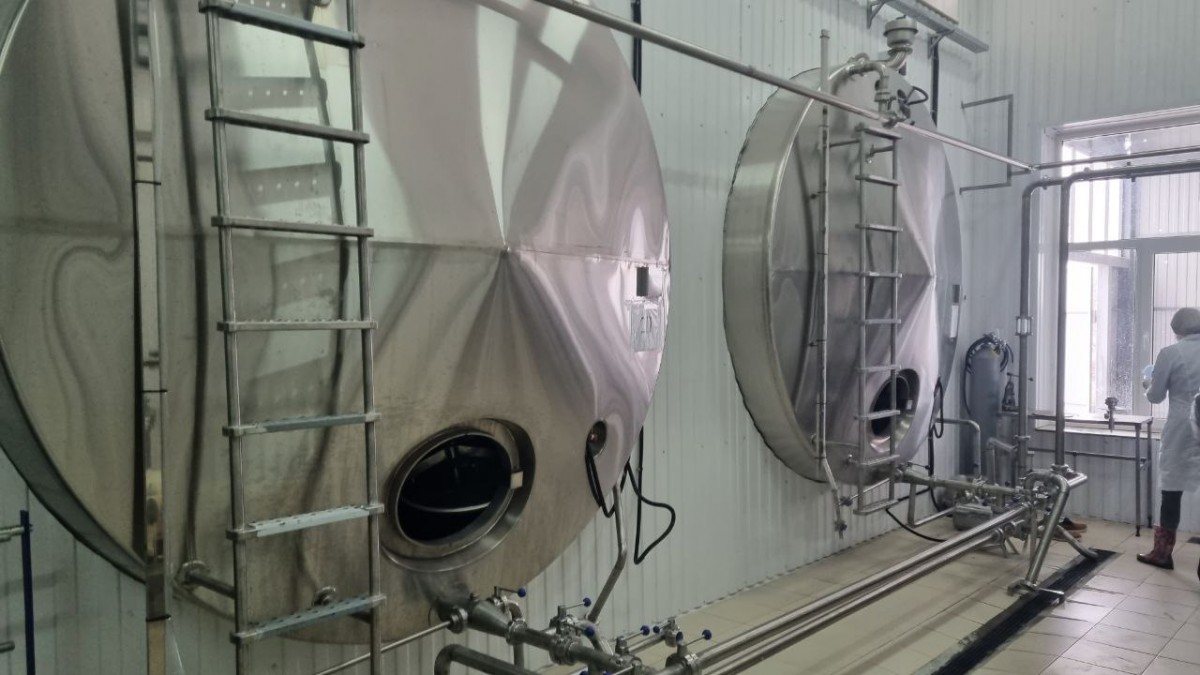 Выпуск 15 видов сыра освоили в Предгорном округе Ставрополья