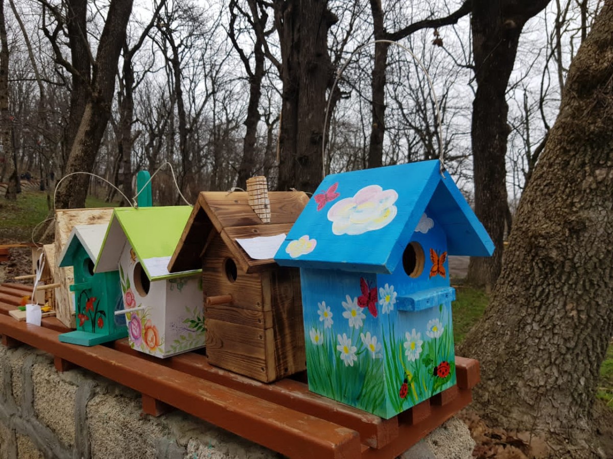 Глава края принял участие в акции «Новоселье для пернатых» в Железноводске