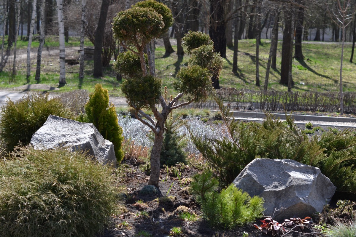 В Ессентуках восстановят историческую клумбу, которую в начале марта испортили вандалы В Ессентуках восстановят историческую клумбу, которую в начале марта испортили вандалы