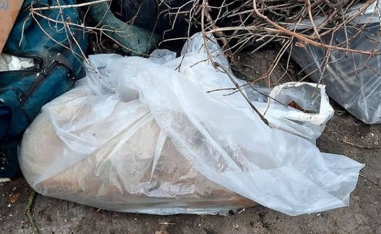 Неизвестные отравили собак и кошек в Лермонтове