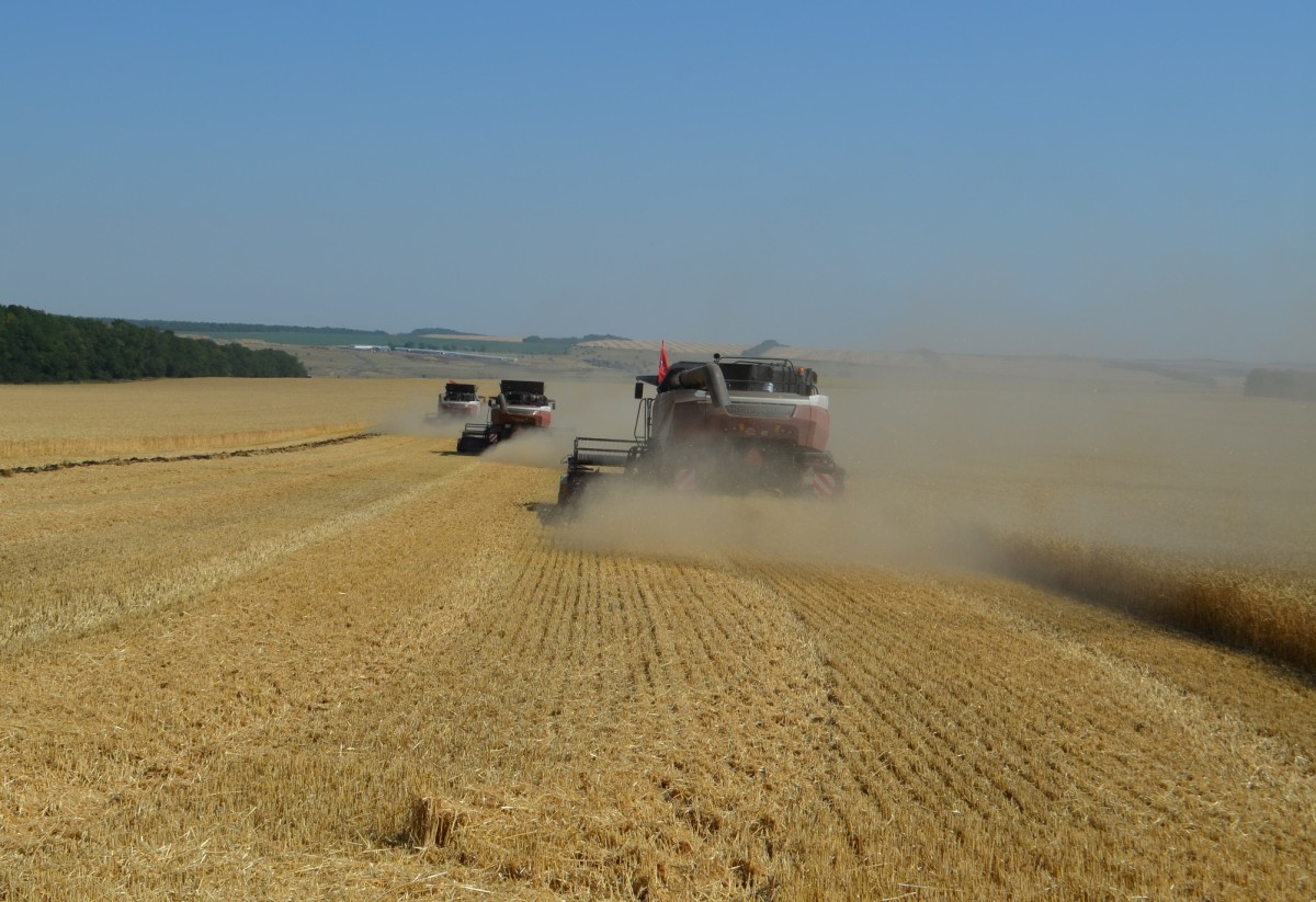 Аграрии Ставрополья смогут компенсировать до 80% убытков