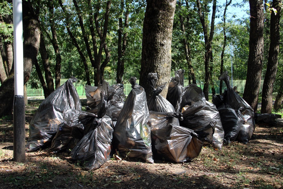 Жителей Ставрополя приглашают на большой субботник Жителей Ставрополя приглашают на большой субботник