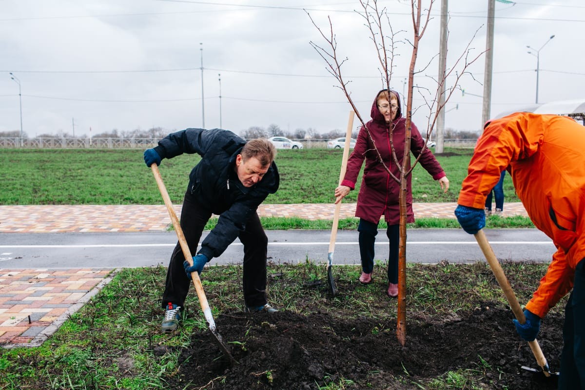 Аллею космонавтов заложили 17 апреля на проспекте Российском в Ставрополе Аллею космонавтов заложили 17 апреля на проспекте Российском в Ставрополе