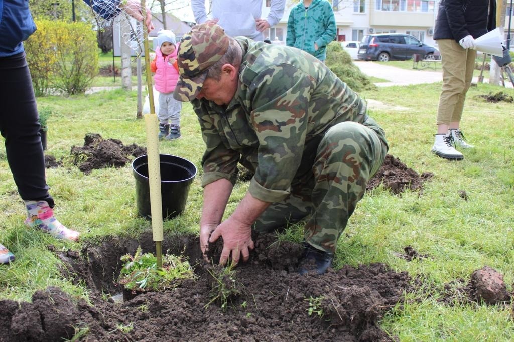 В рамках патриотической акции «Сад памяти» в Красногвардейском округе высадят более 2-х тысяч деревьев В рамках патриотической акции «Сад памяти» в Красногвардейском округе высадят более 2-х тысяч деревьев
