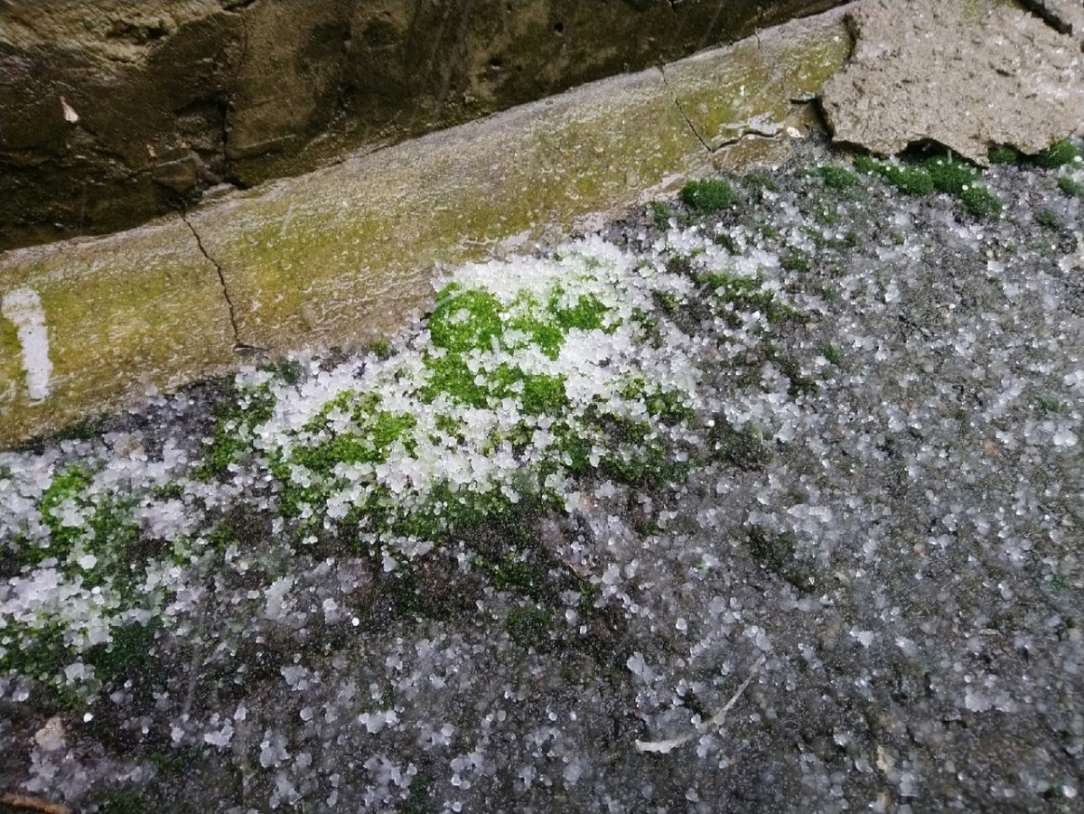 Мелкий град и снег прошли в Ставрополе