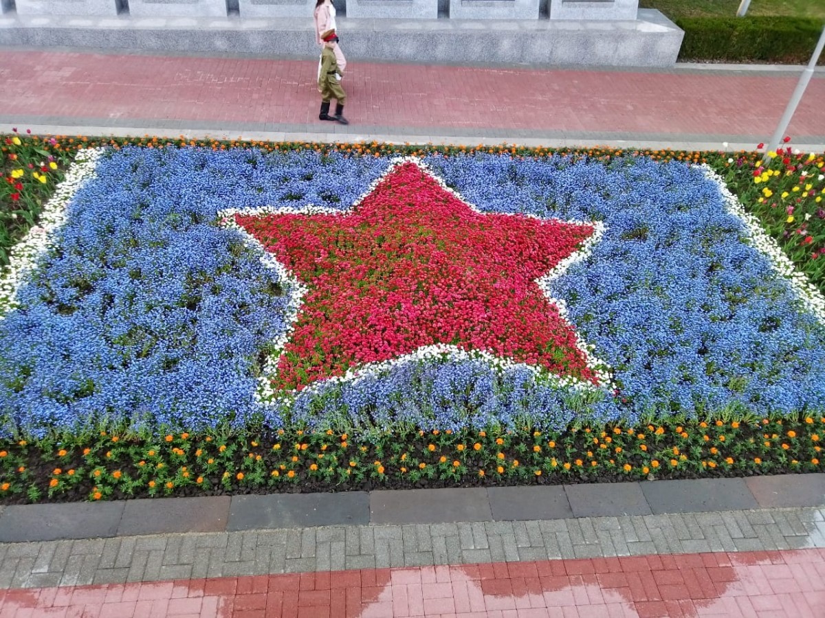 С начала года в Ставрополе высадили более 34 тысяч цветов и 3 тысяч деревьев