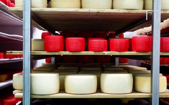 Новые технологии осваивают сыроделы Ставрополья Новые технологии осваивают сыроделы Ставрополья