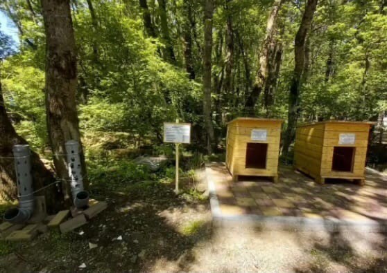 Будки и кормушки для бездомных животных появились в парке Ставрополя Будки и кормушки для бездомных животных появились в парке Ставрополя