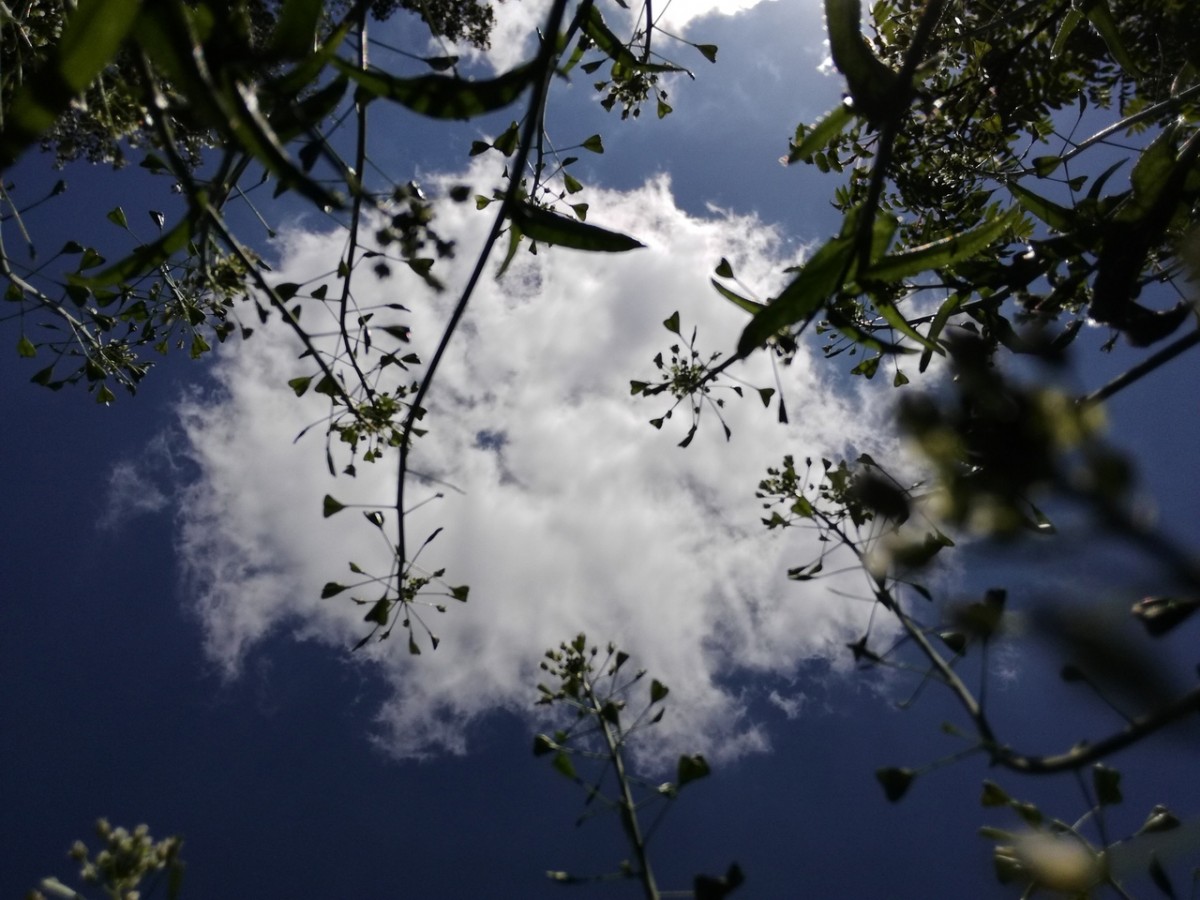 Куда можно вырваться из Ставрополя на один день, рассказали жителям города