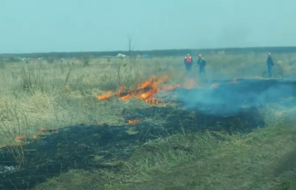 Жителей Ставрополья предупредили о пожароопасном сезоне Жителей Ставрополья предупредили о пожароопасном сезоне
