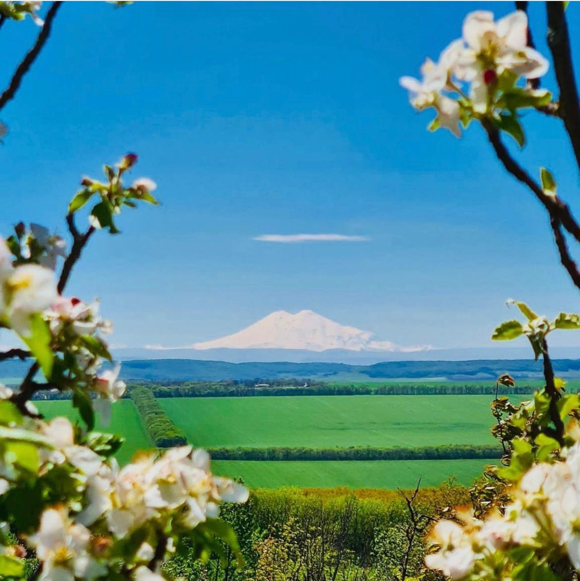 В Ставропольском крае на горе Верблюд завершается строительство глэмпинга В Ставропольском крае на горе Верблюд завершается строительство глэмпинга