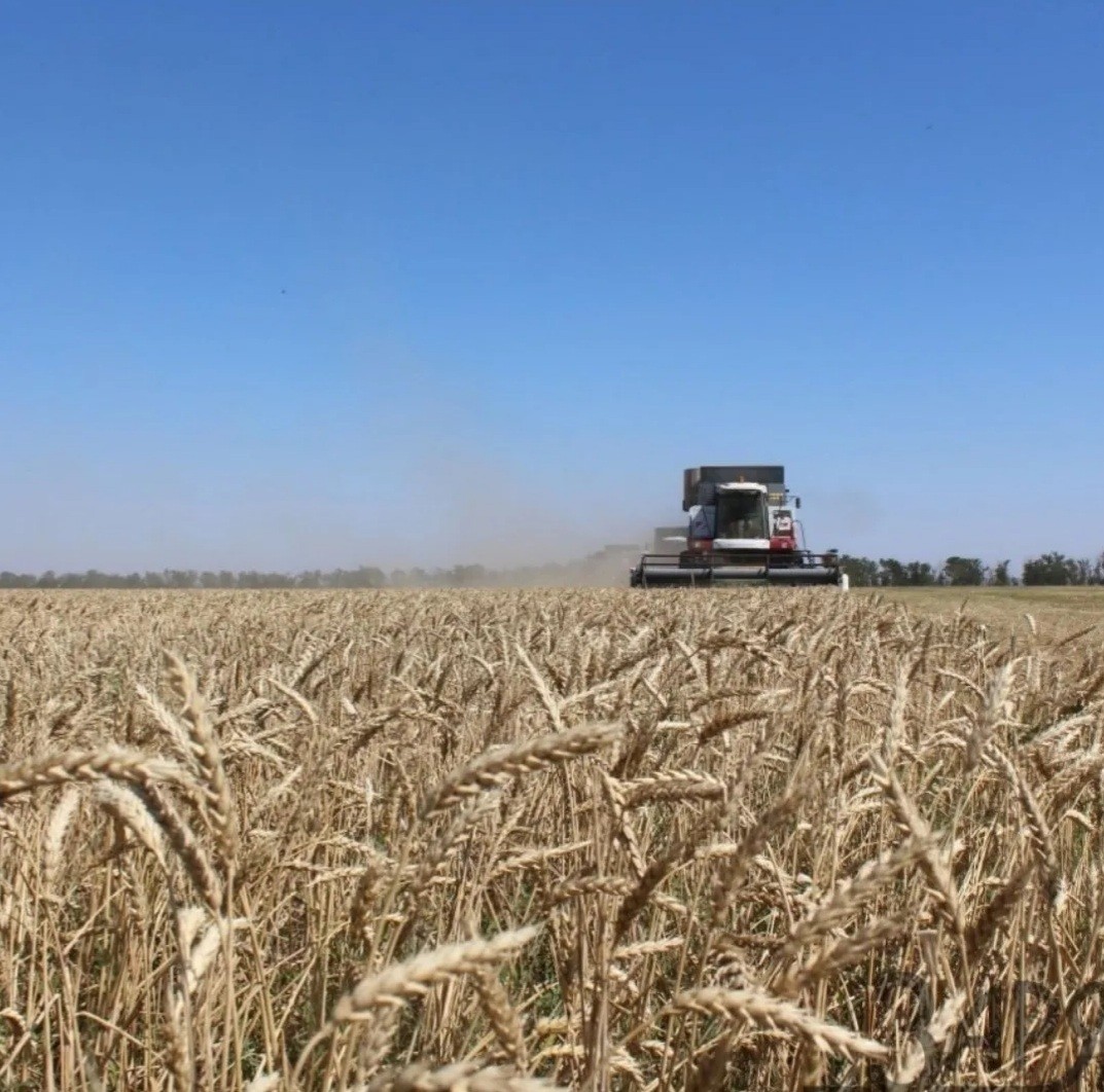 В Арзгирском округе Ставрополья завершают жатву