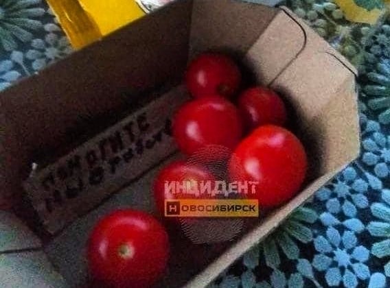 В ставропольских томатах нашли записку о рабстве В ставропольских томатах нашли записку о рабстве