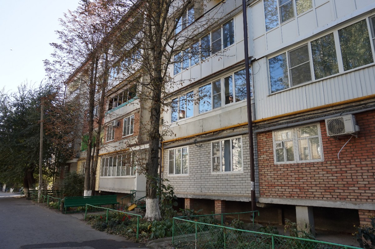 Жителям Ставрополья рассказали, как поступить с сухостойными и больными деревьями