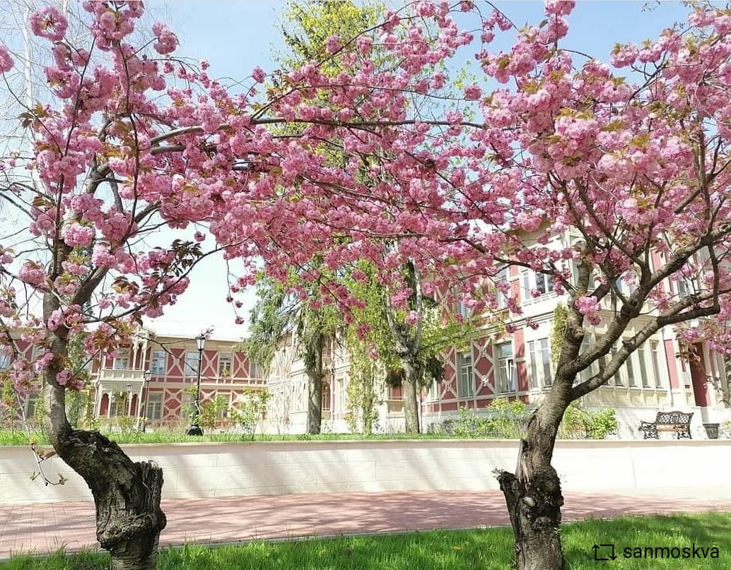 Ессентукские здравницы уже посетило больше 80 тысяч человек