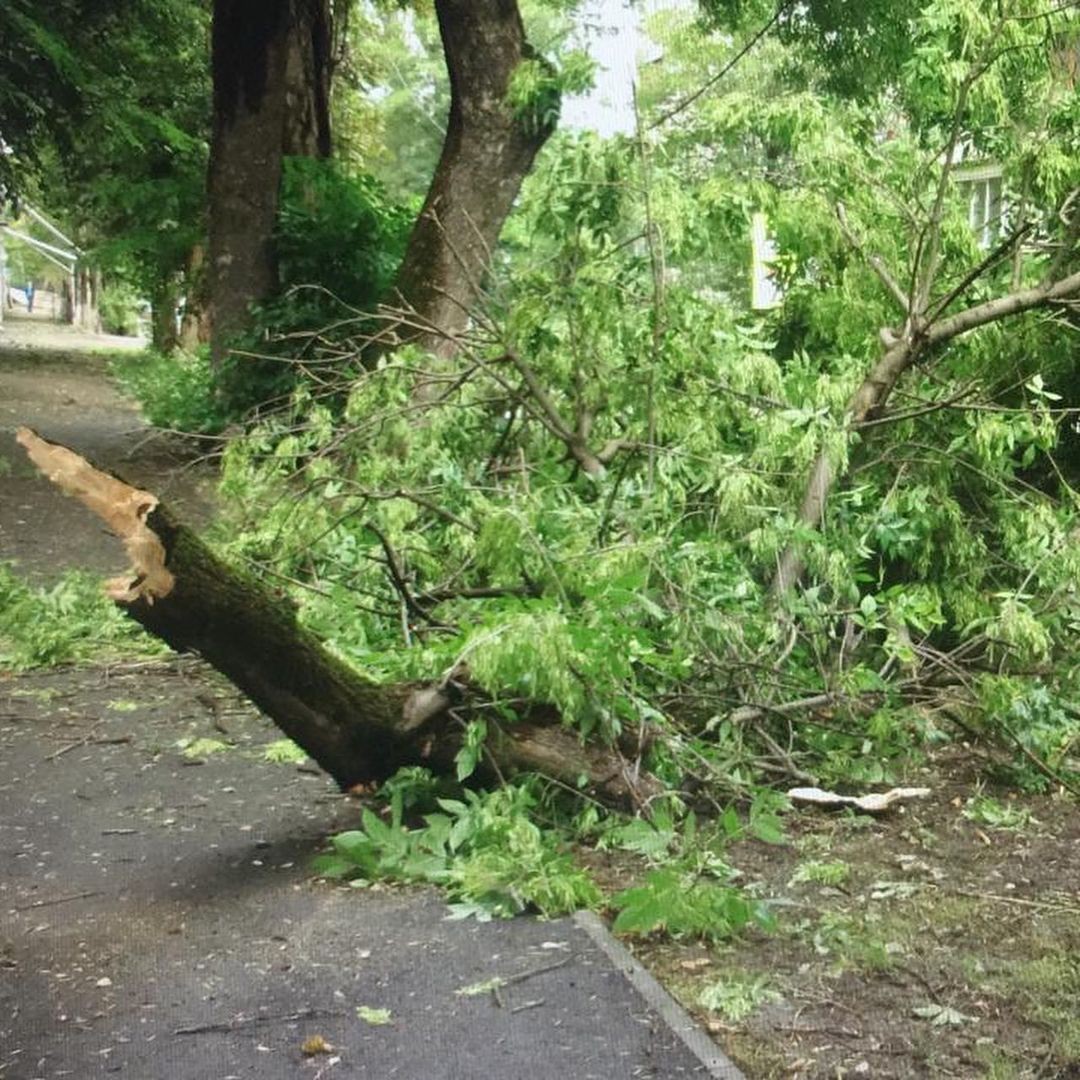В Кисловодске из-за сильного ветра жители нескольких улиц остались без света В Кисловодске из-за сильного ветра жители нескольких улиц остались без света