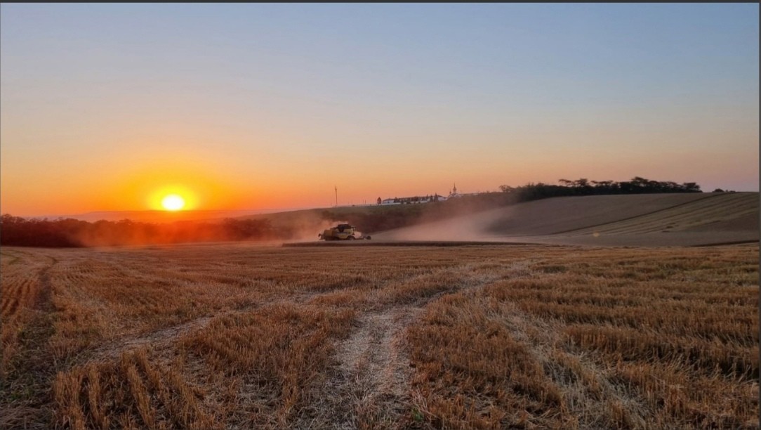 Свыше 127 тонн зерна собрали в Предгорном округе Ставрополья Свыше 127 тонн зерна собрали в Предгорном округе Ставрополья