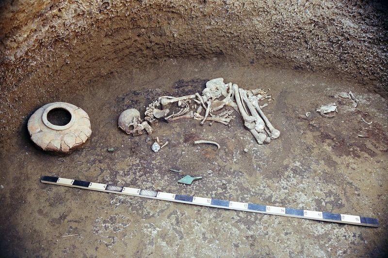 На Ставрополье пройдет выставка с раскопок древних курганов На Ставрополье пройдет выставка с раскопок древних курганов