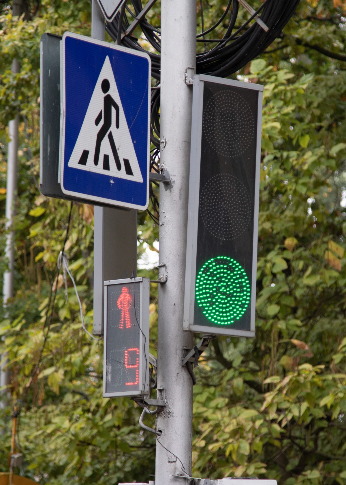 В Железноводске дошколятам рассказывают о безопасном поведении на дорогах