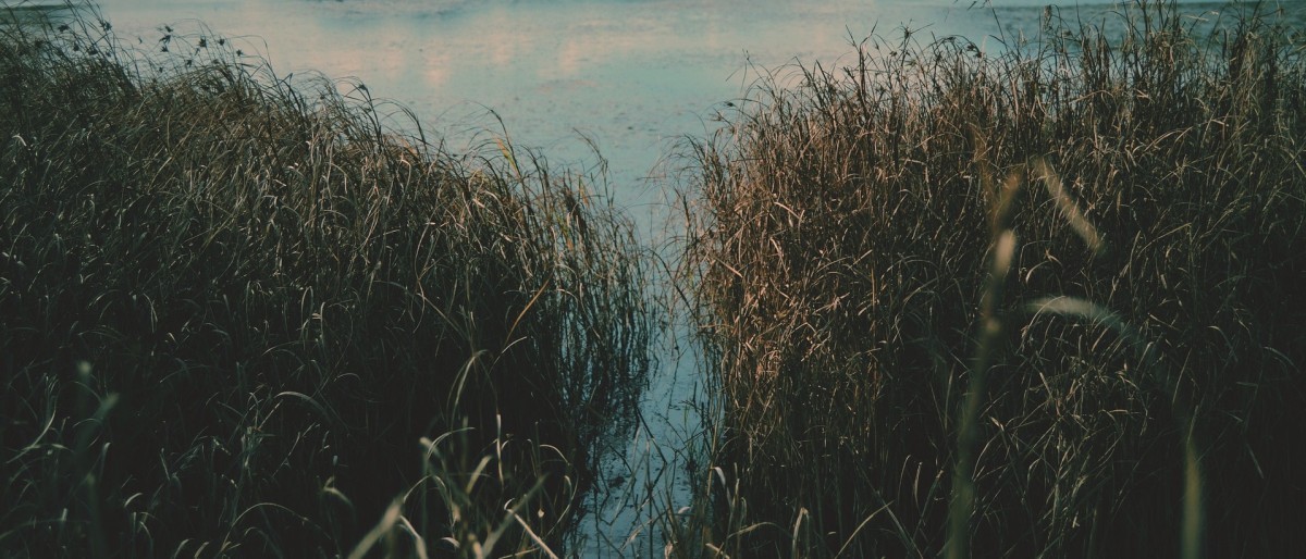 Житель Ипатовского округа подозревается в убийстве местного жителя Житель Ипатовского округа подозревается в убийстве местного жителя