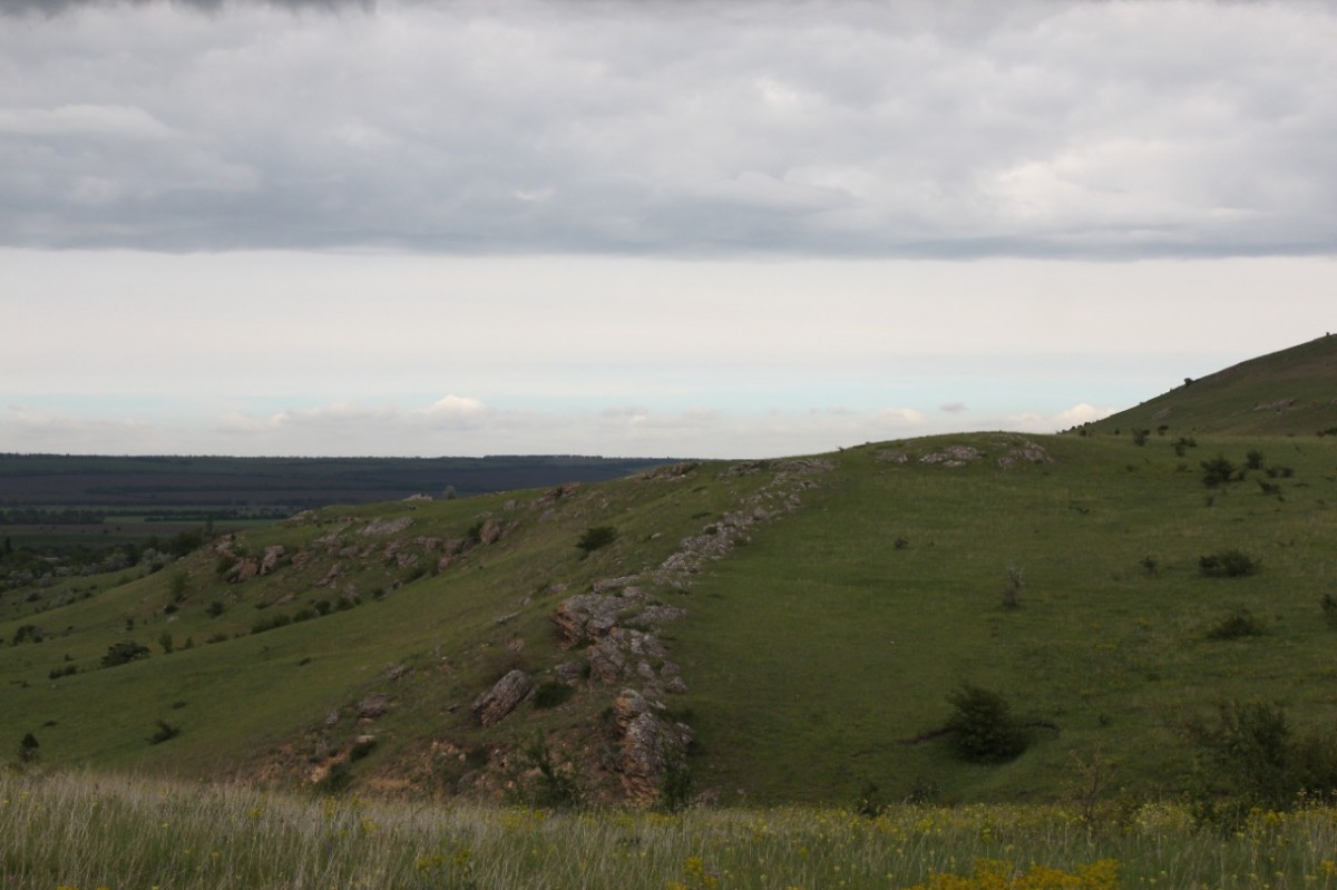 Природный заказник «Подлужный» площадью 380 га создали в Изобильненском округе