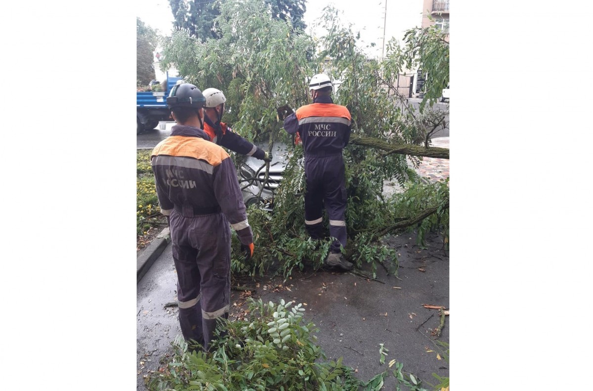 Непогода в Ставрополе повалила 20 деревьев и засорила 500 ливнёвок