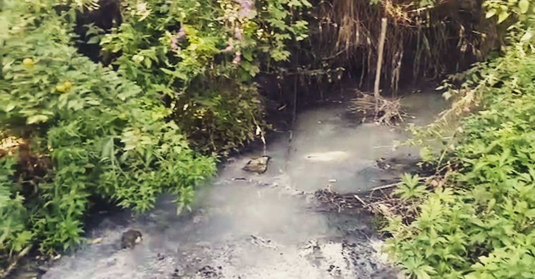 Экологи возьмут пробы воды в реке Татарка на Ставрополье Экологи возьмут пробы воды в реке Татарка на Ставрополье