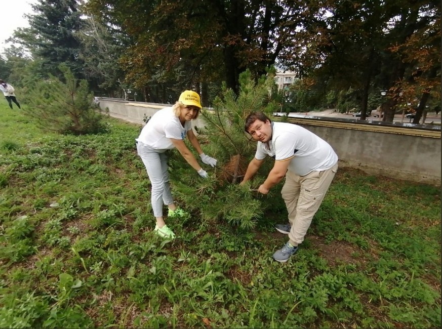 В Кисловодске за саженцами крымской сосны в «Саду памяти» ухаживают волонтеры В Кисловодске за саженцами крымской сосны в «Саду памяти» ухаживают волонтеры