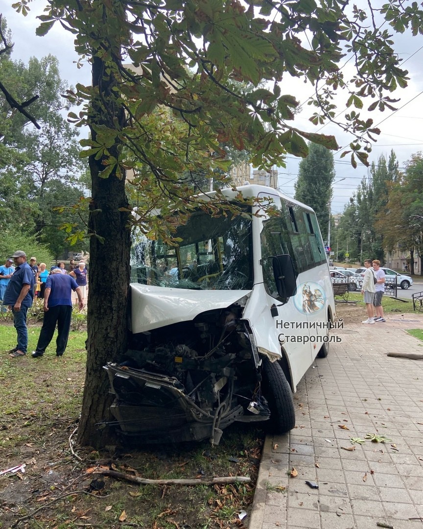 В Ставрополе маршрутка врезалась в дерево и сбила прохожего | 15.08.2021 |  Ставрополь - БезФормата