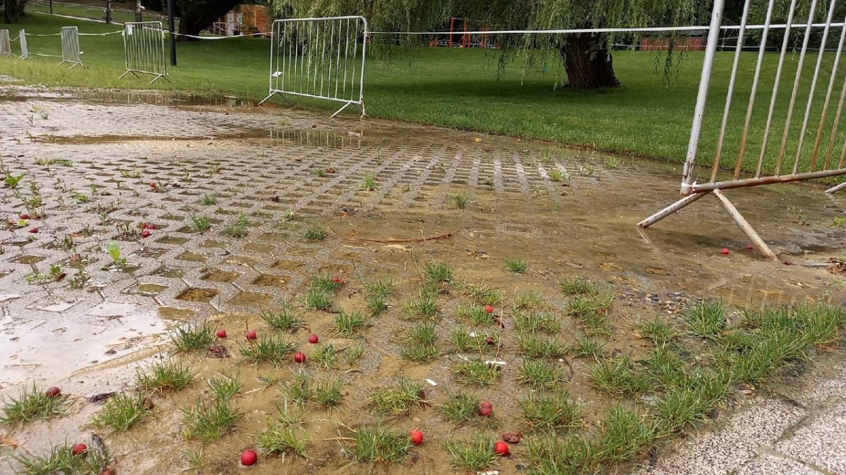 Из-за непогоды Комсомольский пруд в Ставрополе закрыли с 17 августа Из-за непогоды Комсомольский пруд в Ставрополе закрыли с 17 августа