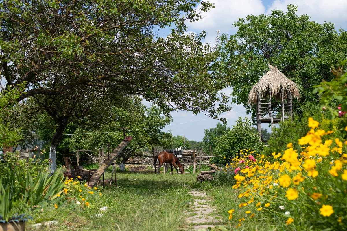 Ставрополье насчитывает более 50 объектов сельского туризма Ставрополье насчитывает более 50 объектов сельского туризма