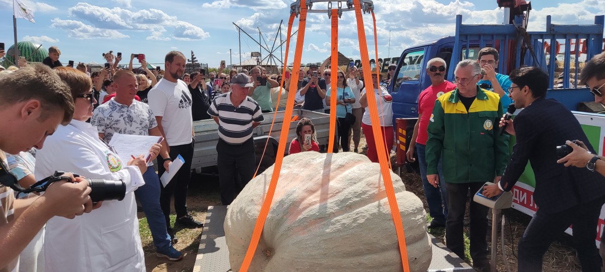 Тыкву весом 544 кг представили на «Агробатле - 2021» в Ставропольском крае