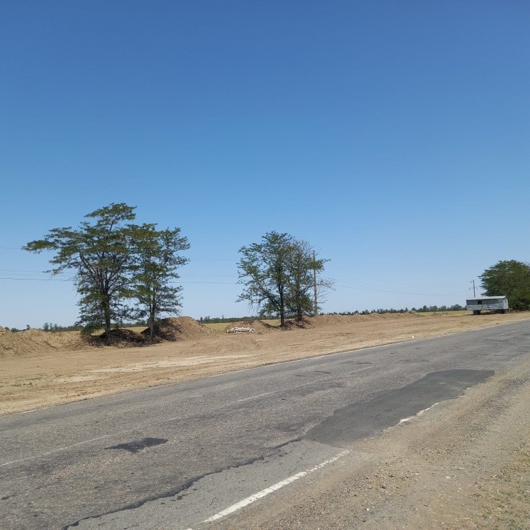 Ставрополье лишилось 858 деревьев акации