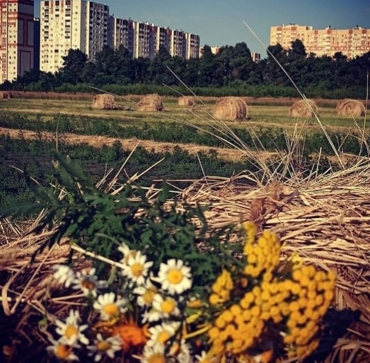 В Ставрополе определили победителей летнего фотоконкурса В Ставрополе определили победителей летнего фотоконкурса