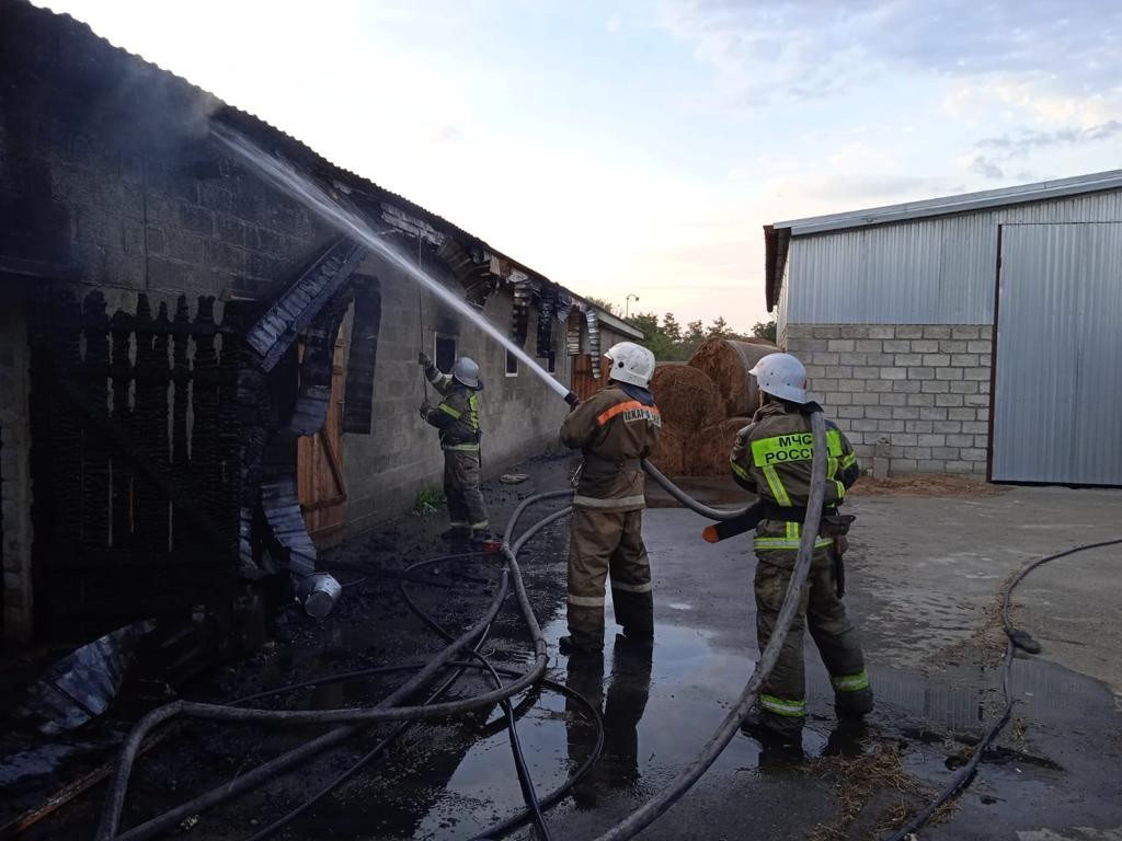 В Кочубеевском округе Ставрополья загорелся коровник