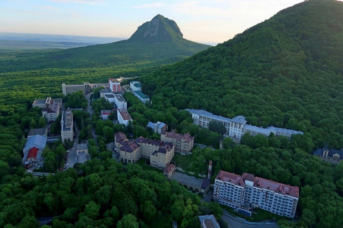 На 18 га увеличилась площадь лесов в Железноводске за 20 лет На 18 га увеличилась площадь лесов в Железноводске за 20 лет