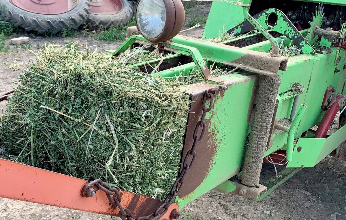 Для зимовки скота в этом году заготовят в 2 раза больше корма на Ставрополье