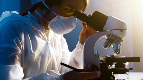 Мертвые личинки паразитов выявили в мороженной скумбрии на Ставрополье